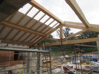 Img. 2 Correa cumbrera castaño.jpg